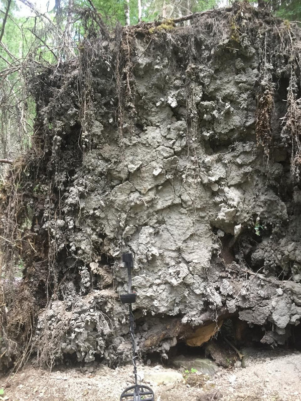 D3CE413F-8FEA-4EB7-82D8-BCBD1B7B41C9