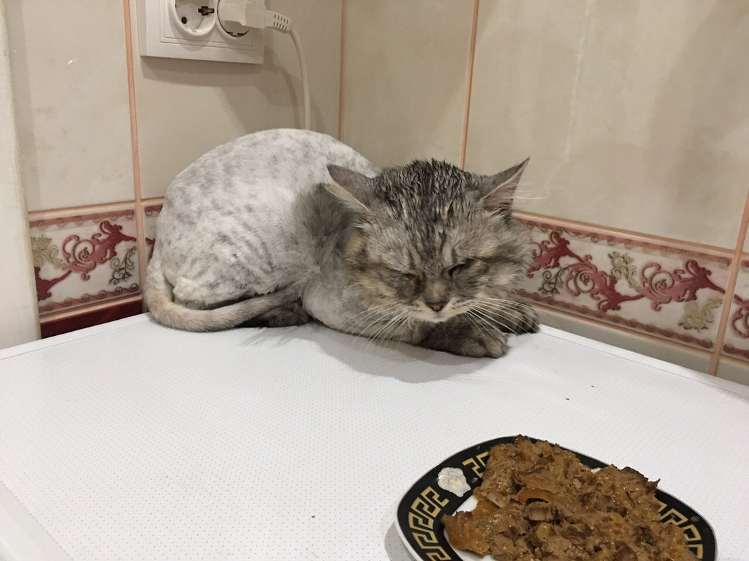 2657B1A1-12E0-4E11-953C-72886EDAB30F