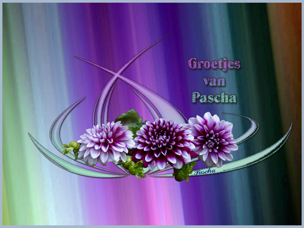 dhalias.jpg