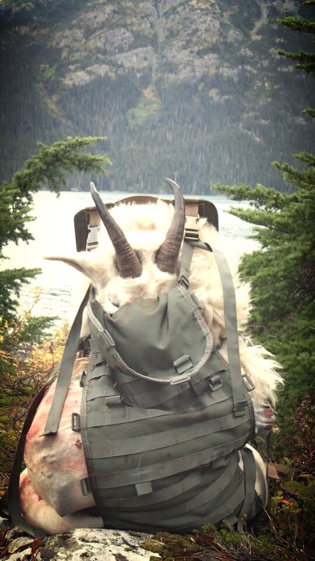 7D9FF912-BEDF-450E-85C4-AFFE03023420