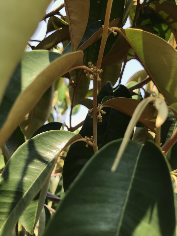 EAF54CA2-59D2-41A8-A308-BCBF8CBC7A26