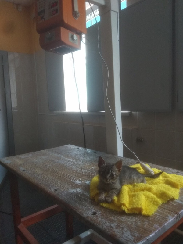 50C1C4E1-10C2-4020-A8B7-4353319600C8