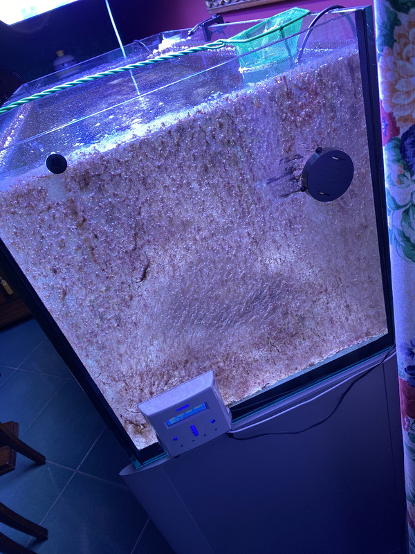 CF5A785F-822D-4CD5-B08C-68AB74380165