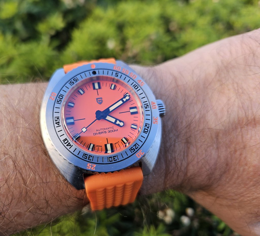 Le club des heureux propriétaires décomplexés de montres "hommage" - tome 6 - Page 20 20231205-161031