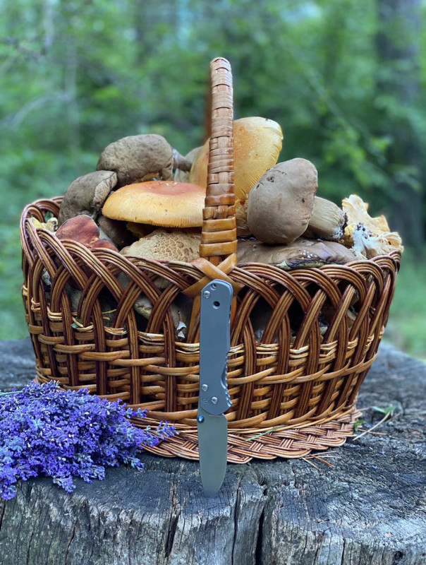 56A9D847-0045-4AB5-9918-F9E14629AE82