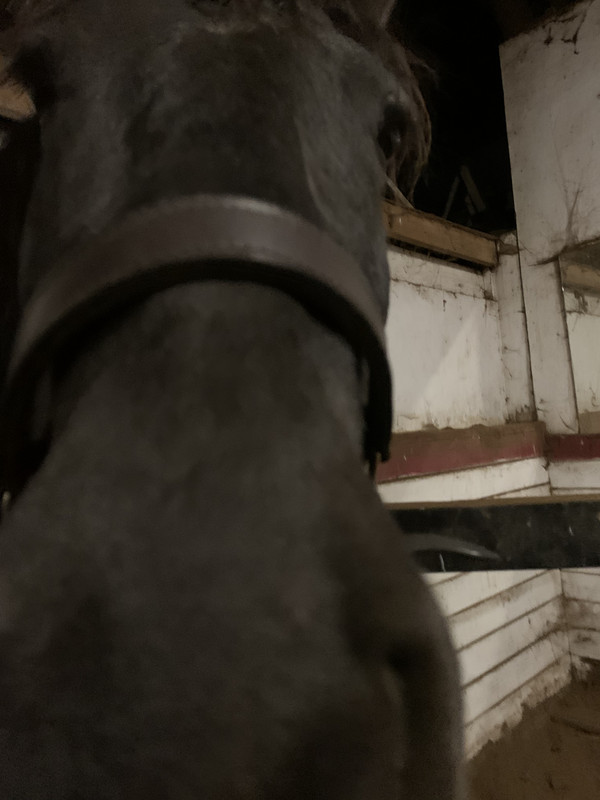 59E5F605-EDBF-4445-B427-840A308D4BF0