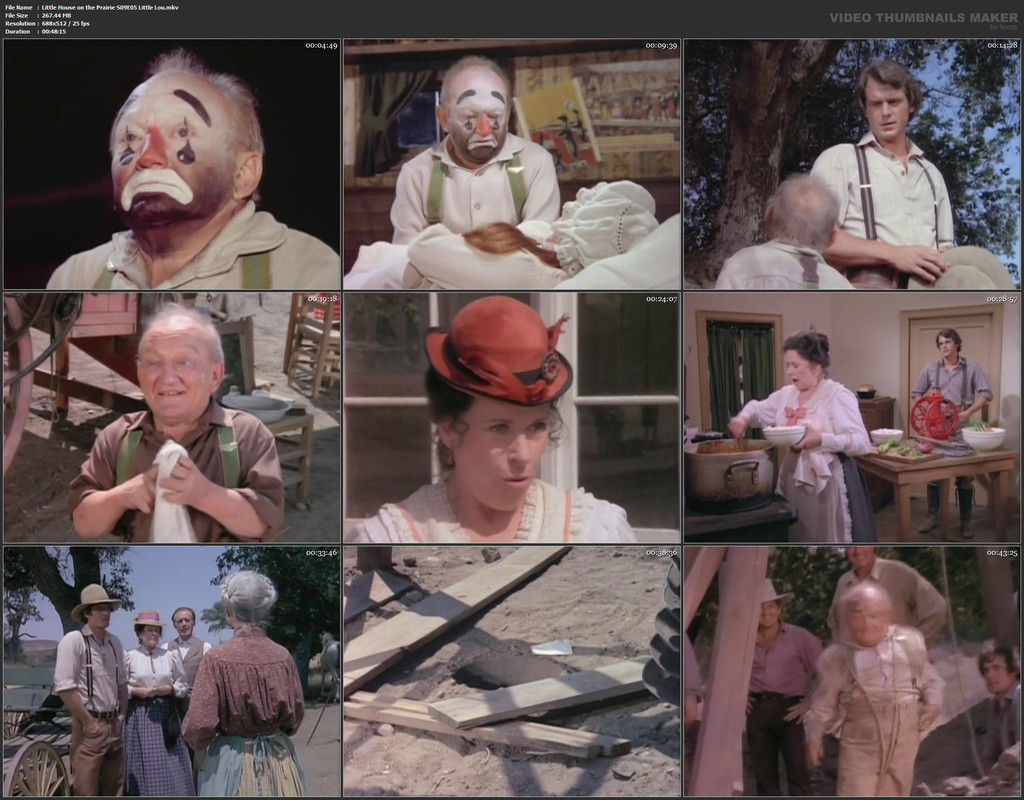 Little House on the Prairie S09E05 Little Lou.mkv