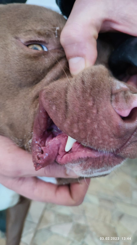 WhatsApp Image 2023-02-03 at 13.44.58 (3)