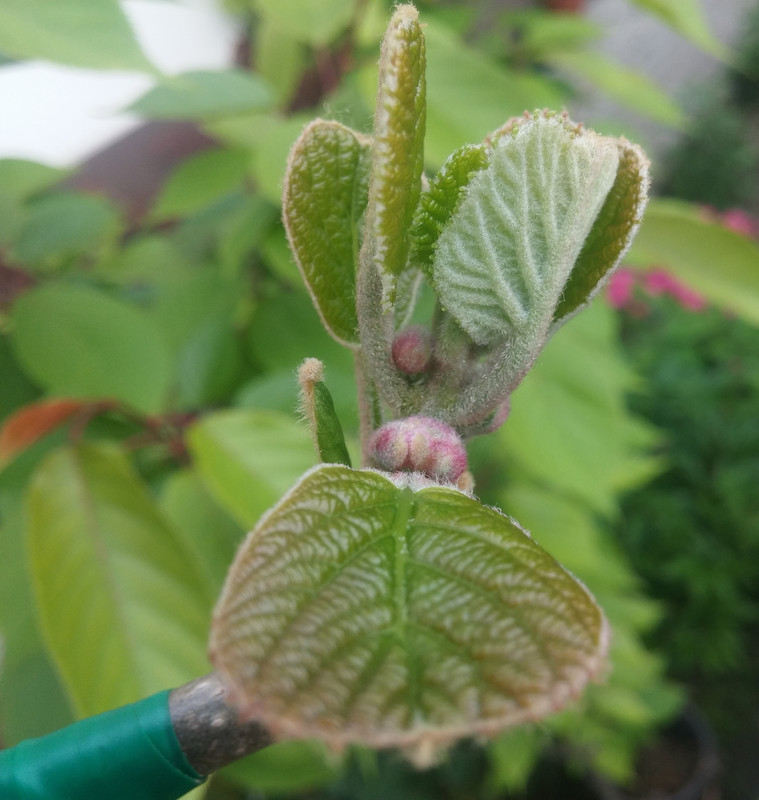 20190423_180521