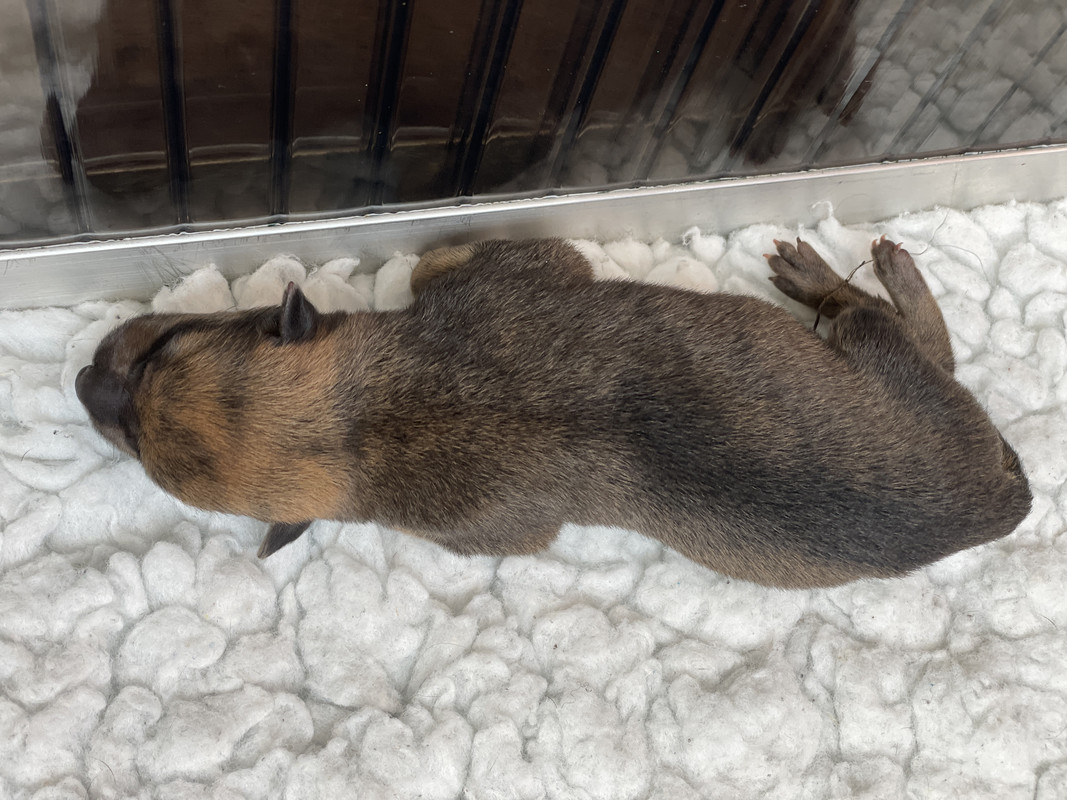 1AAB5BEE-2770-4096-A75C-A7E01B79FC51