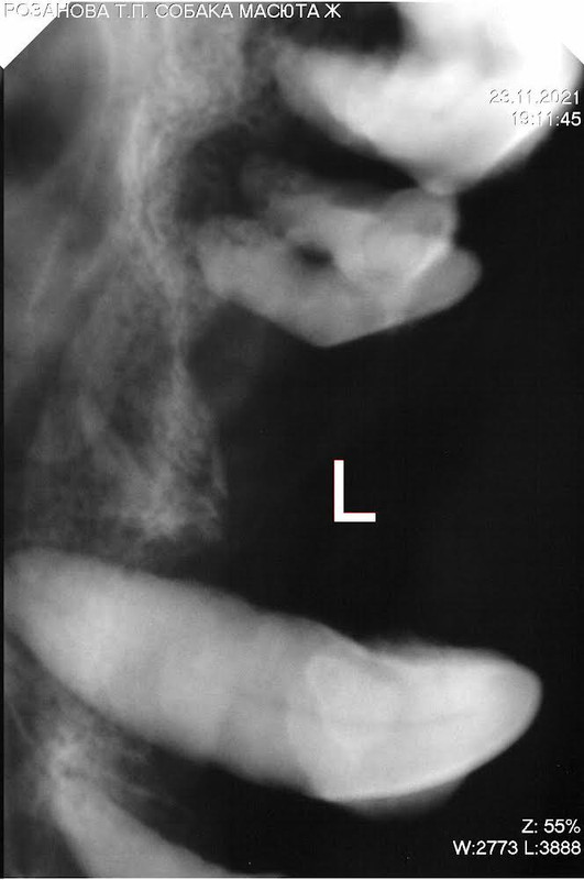 C50625BD-2431-4A44-9098-9DB4BDA661F0