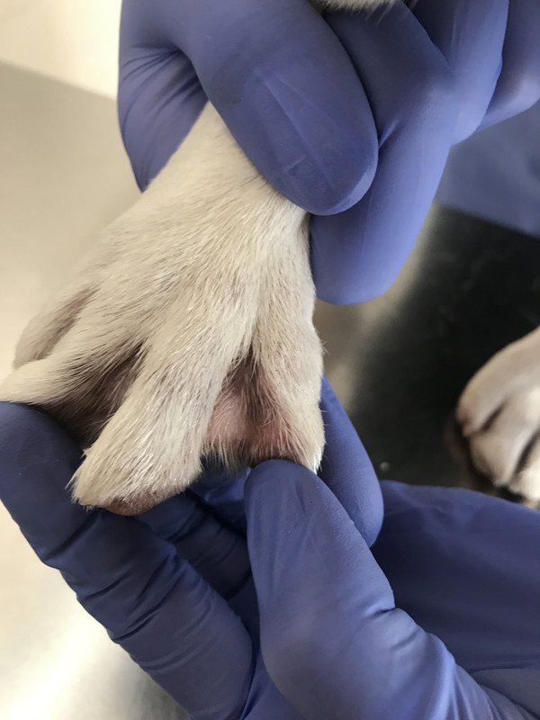 2B592EAC-CC1B-4BB5-906F-8AD96EC2FB61