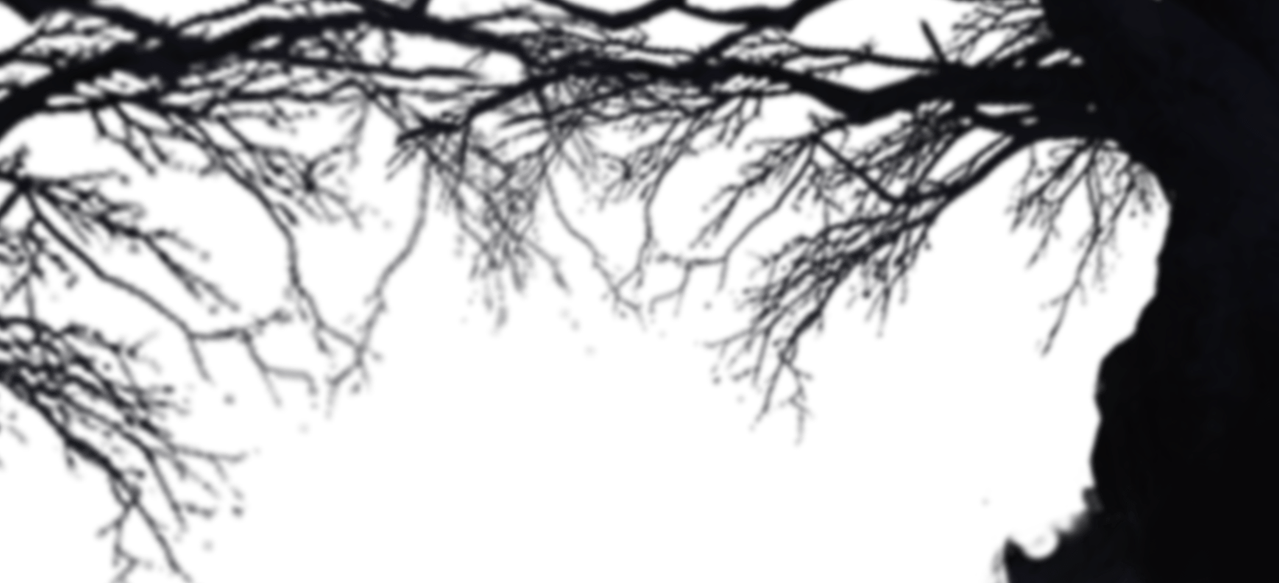 cut01 tree2