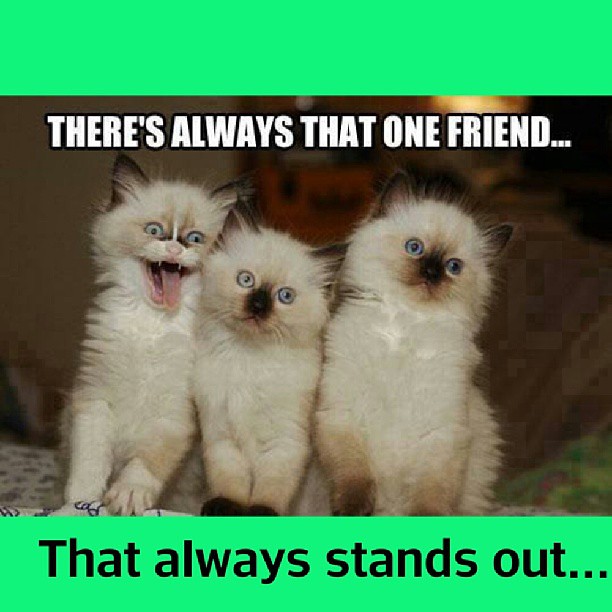 10000281296-bff8f7ba12-z