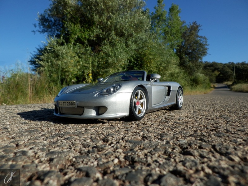 Porsche Carrera G (4)