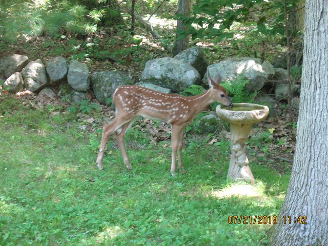 IMG-2256.jpg