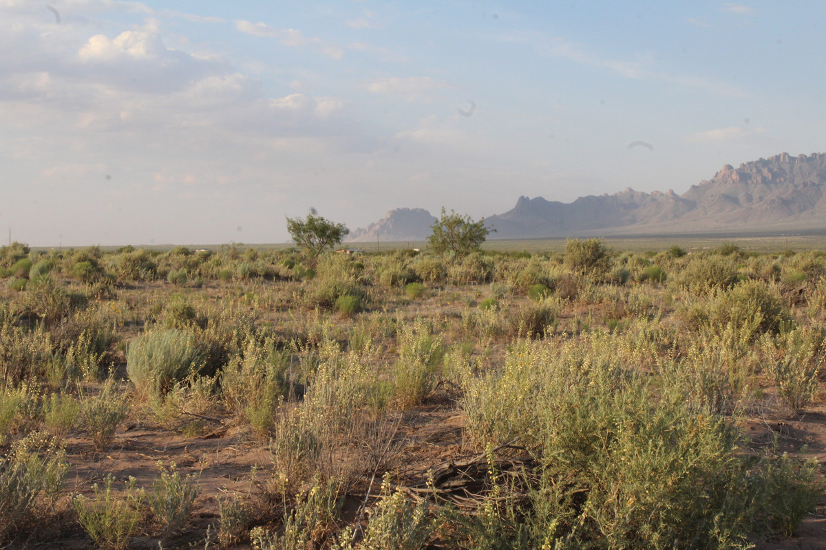 "2 Acres of Serene Beauty with Captivating Florida Mountain Views in Deming, NM!"