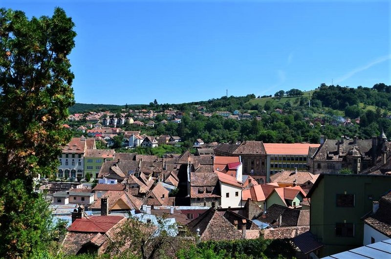 Rumanía y sus pueblos-2015 - Blogs de Rumania - Sighișoara-8-8-2015 (32)