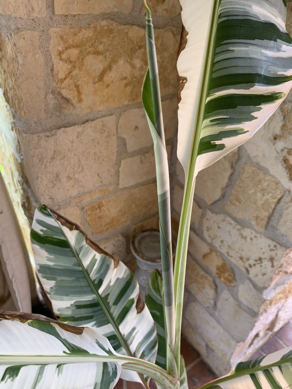 A322746D-CC48-4AB1-B13D-7CF9713E92DB