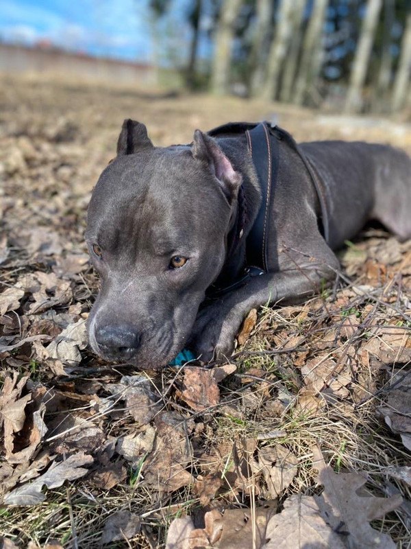 4756E104-2E3F-4A53-BC25-A2AC1BA1B58B