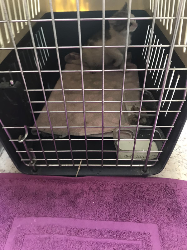 9B9B1C57-D28B-4B1A-BFD9-974249284AB8