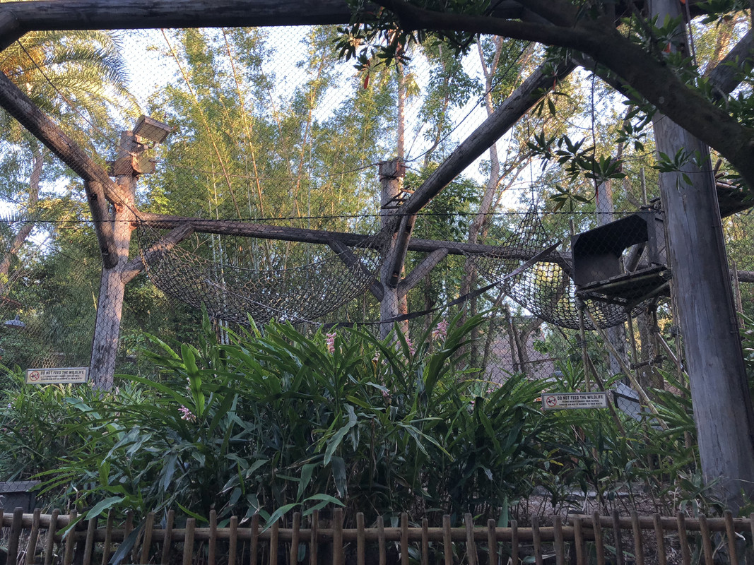 EE982957-8A17-4EA5-9F8A-CAABB53EFCBF