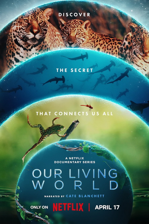 Nasz pełny życia świat / Our Living World (2024) (Sezon 1) MULTi1080p.NF.WEB-DL.H264.DDP5.1.Atmos-K83 / Lektor i Napisy PL