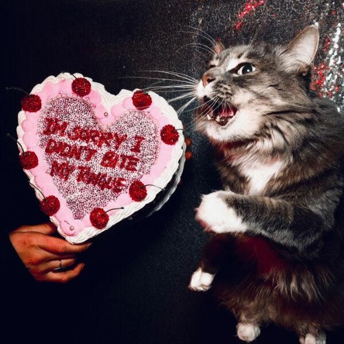 Instant Crush - I M SORRY I DIDN'T BITE MY TONGUE (Deluxe) (2026)