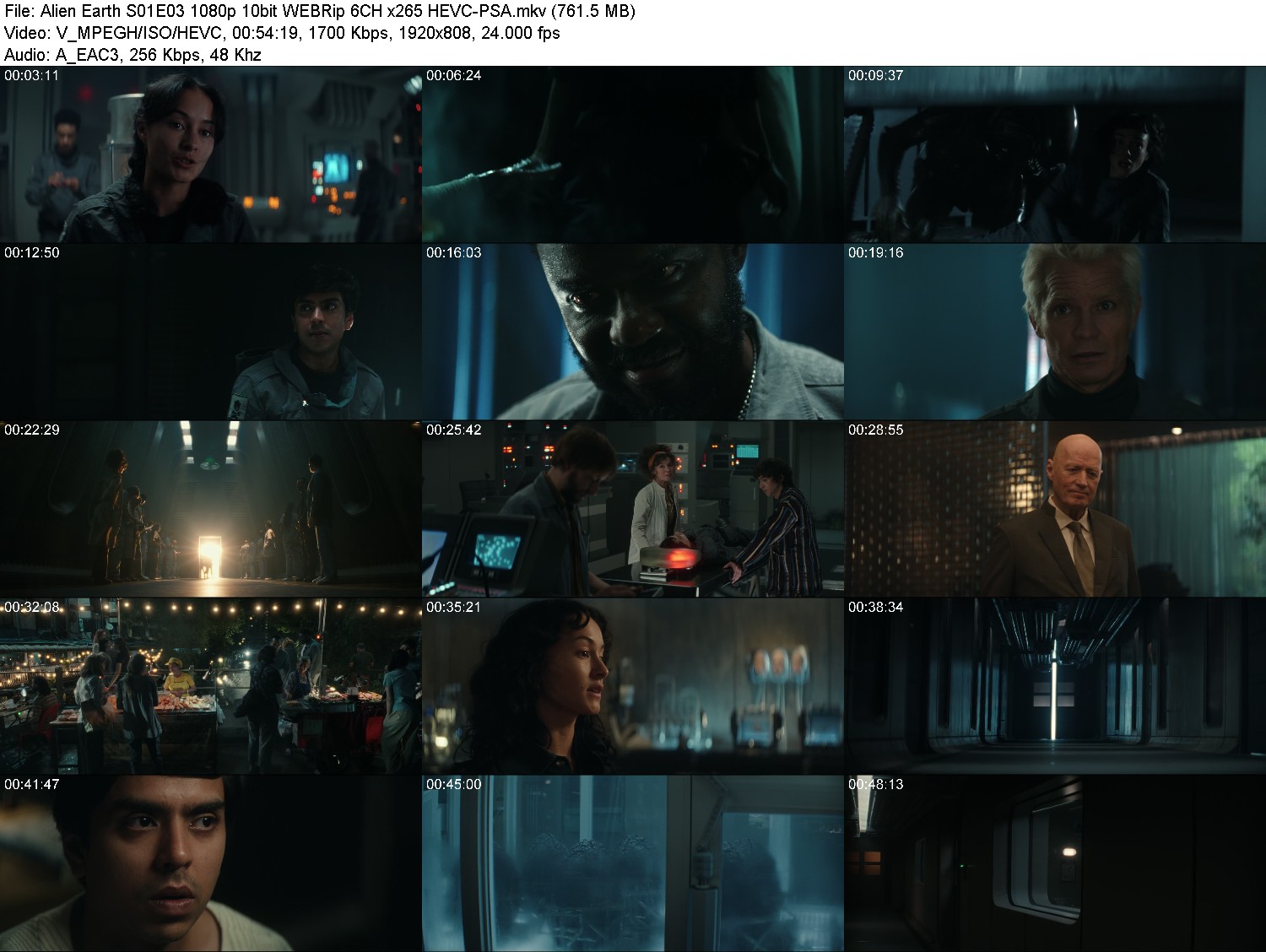 [Image: xzkrw2zgt927.jpg]