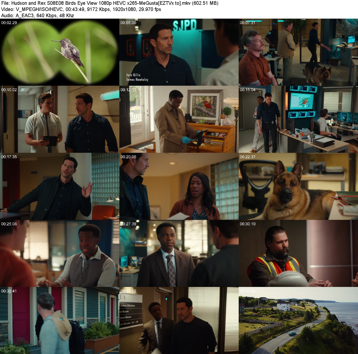 [Image: 2snlhl899mib.jpg]