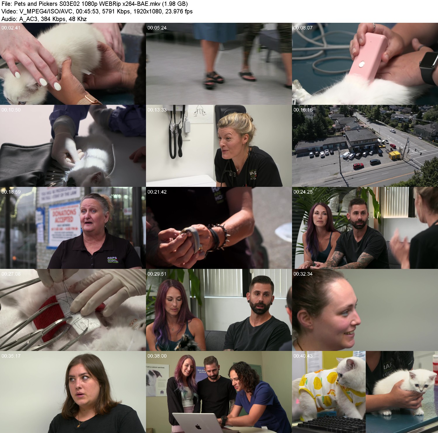 [Image: o7xlhyg6l6x2.jpg]