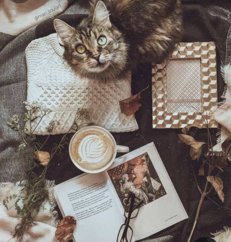 Screenshot_20231122_212840_Pinterest