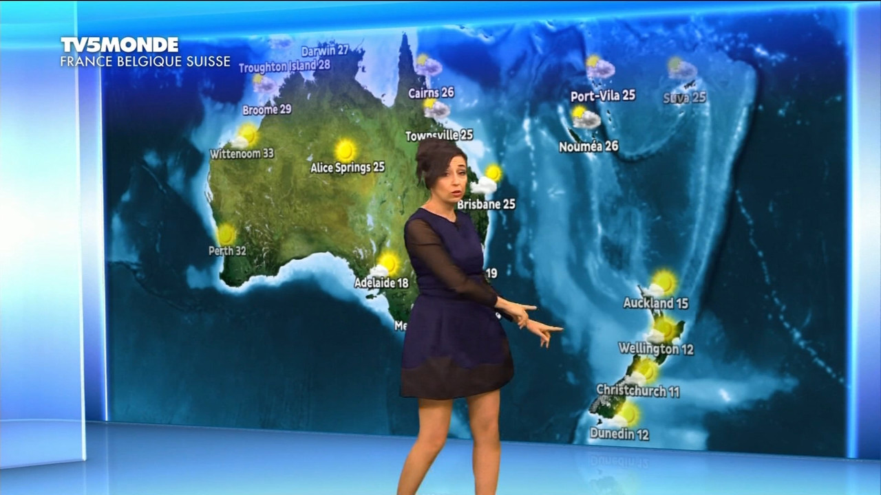 12.28 - 17.26.00 - Météo. Le bulletin météorologique international.ts_snapshot_07.00.297