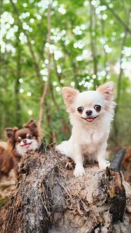 Lumii_20250812_100118870