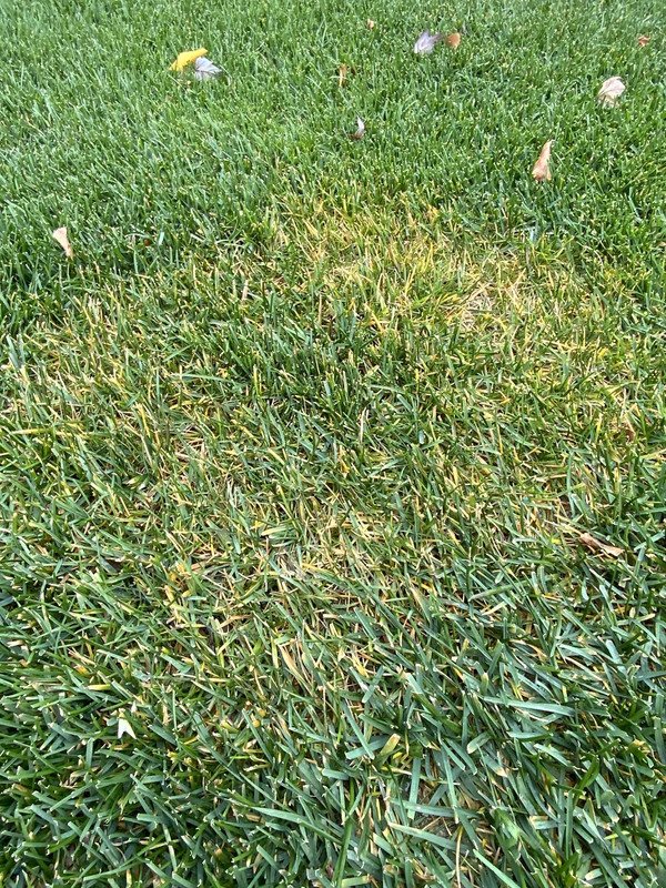 16C75A27-FFBD-4FA2-8816-C2C58276D56D