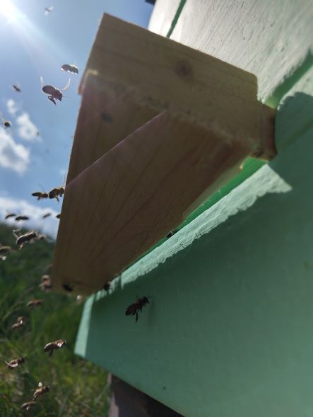 Leták zdola malý IMAG4013