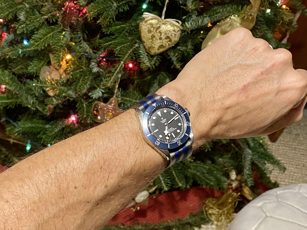 7F53DF59-1A62-47C9-9D0E-E94AE22502CC