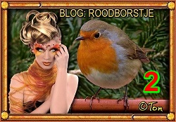 www.krabbelplaatjes.com