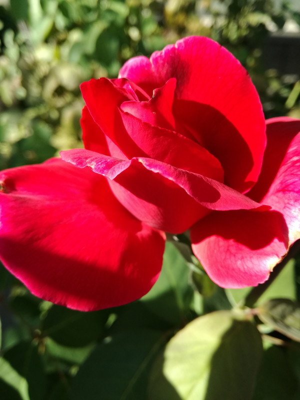 IMG_20190821_164344
