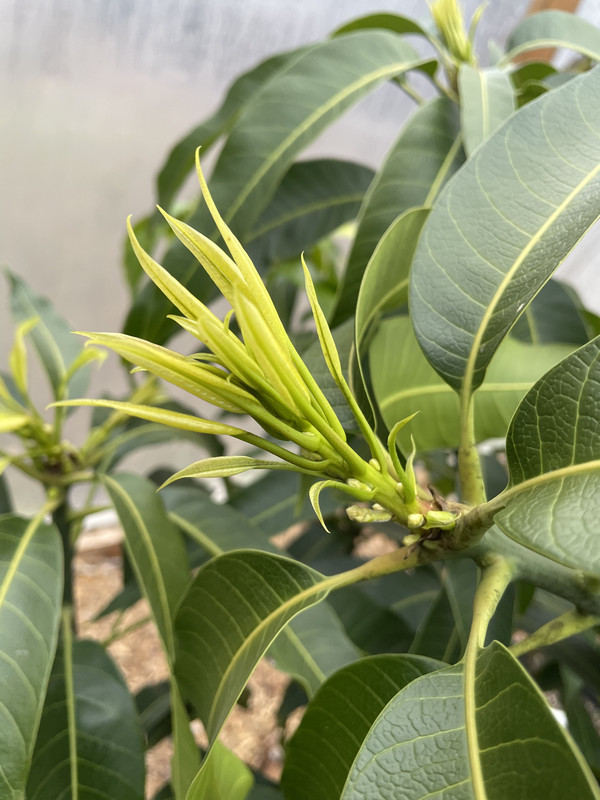 8A6EB4B1-CB97-41BF-84AD-4D3D91516BF6