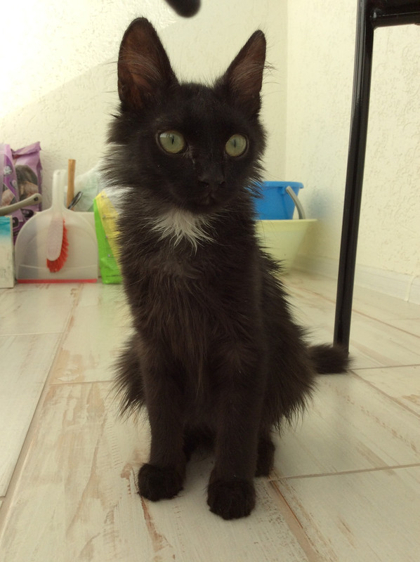 C0F844B4-5209-4692-80DB-8D5F8F60EE26