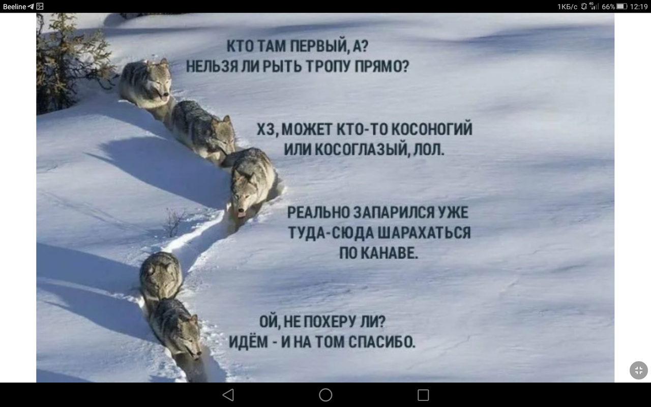 Screenshot_2023-02-12-12-19-31