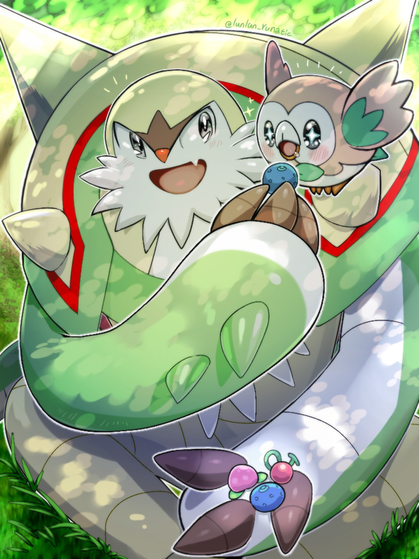 rowlet-and-chesnaught-pokemon-drawn-by-r