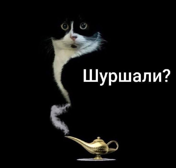 [Изображение: photo-2025-09-25-18-39-47.jpg]
