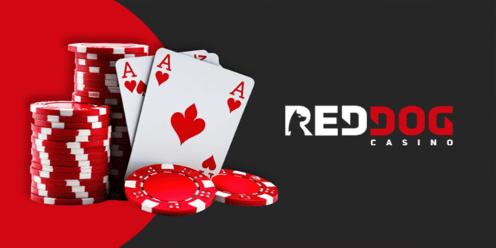 Panduan Lengkap Casino Red Dog Dan Fitur Modernnya
