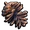 pi-a