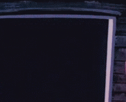 FTS-1.gif