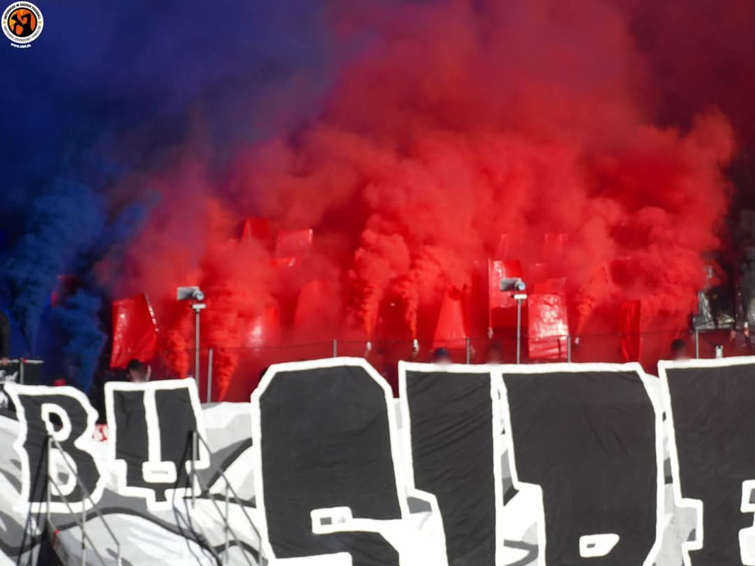 FB_IMG_1737314015765