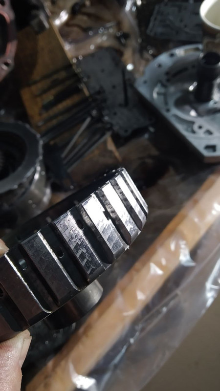 photo_10_2024-05-20_19-54-25