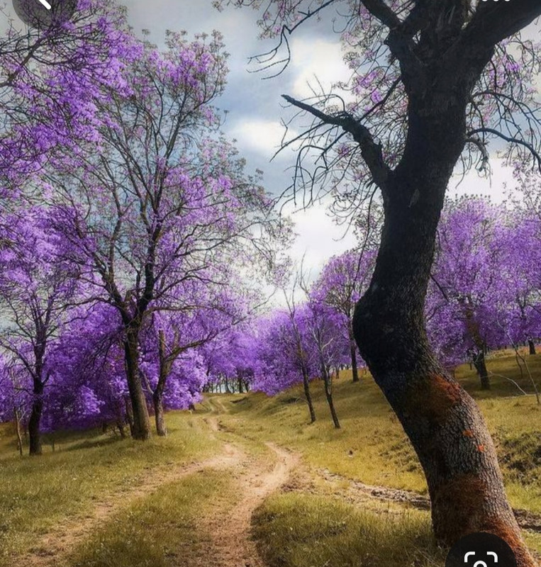 Screenshot_20240202_202728_Pinterest